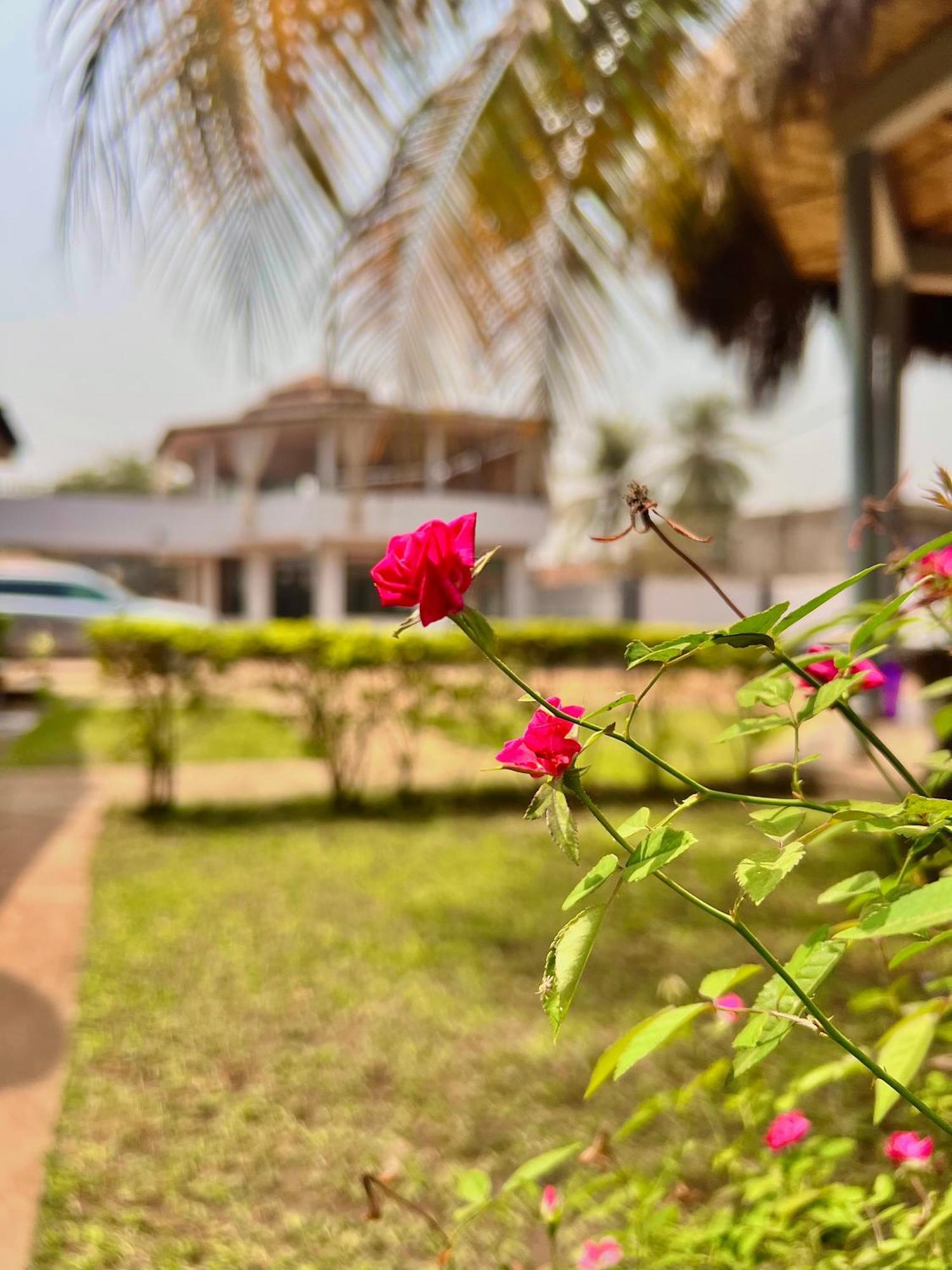 Paloma Guest House Kenema Exteriér fotografie